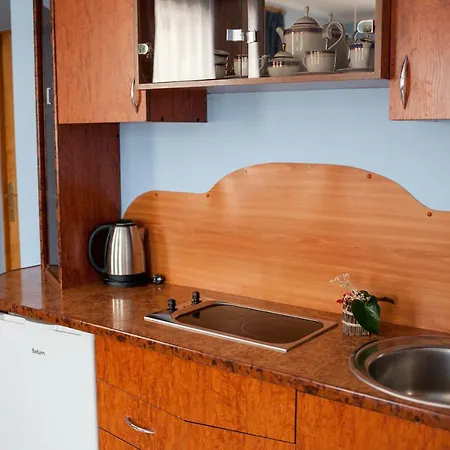 Ξενοδοχείο Goverla 3*