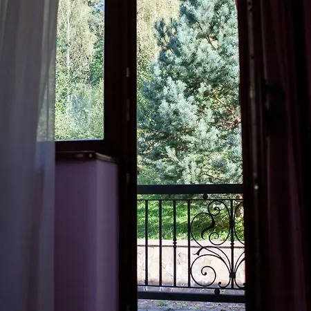 Ξενοδοχείο Goverla 3*