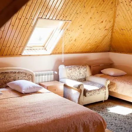 Ξενοδοχείο Goverla 3*