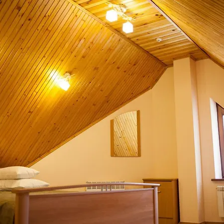 Ξενοδοχείο Goverla 3*