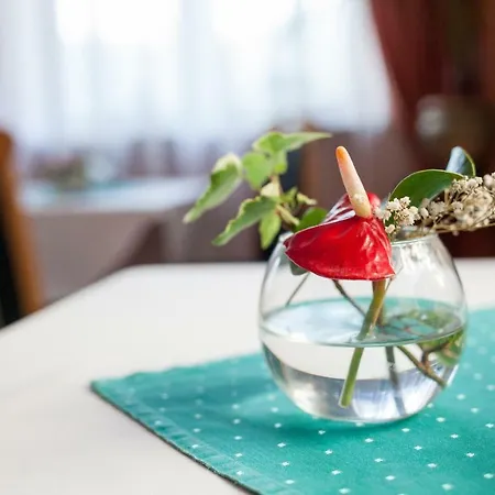 Goverla Ξενοδοχείο 3*