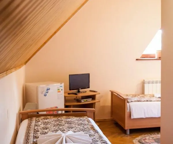 Hotel Goverla 3*